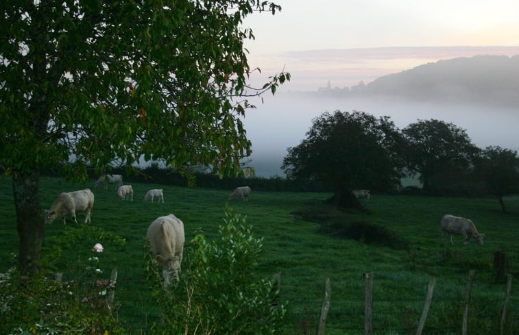 Natuurhuisje in La Vineuse sur Frégande