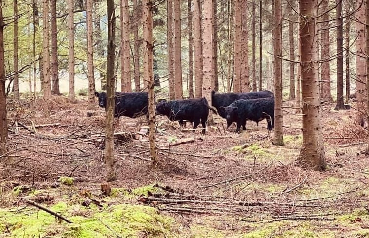 Natuurhuisje in Schoonloo