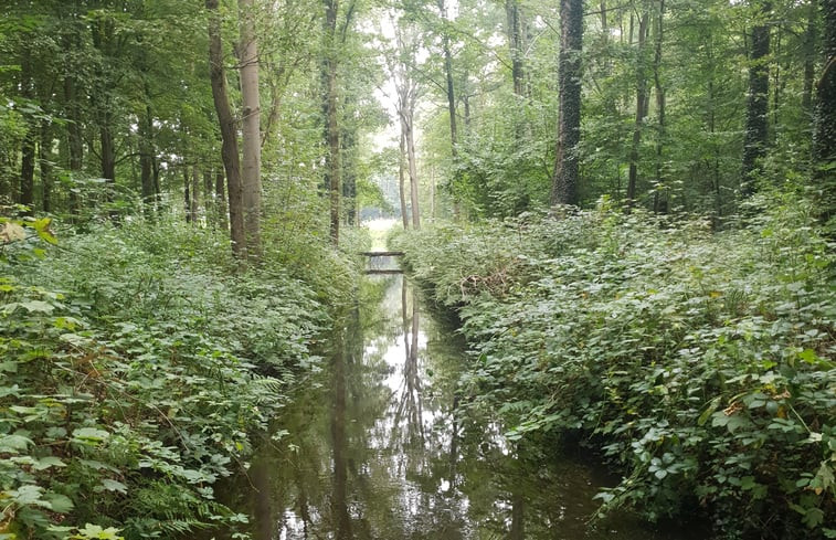 Natuurhuisje in Luttelgeest