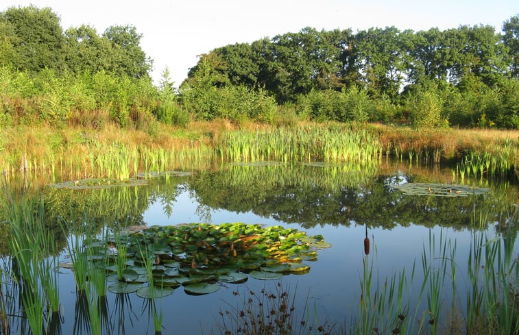 Natuurhuisje in Eext