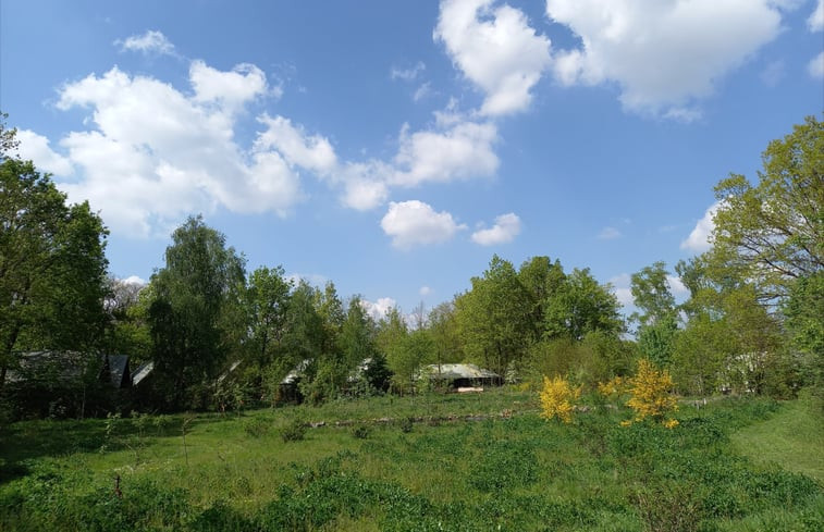 Natuurhuisje in Bergeijk