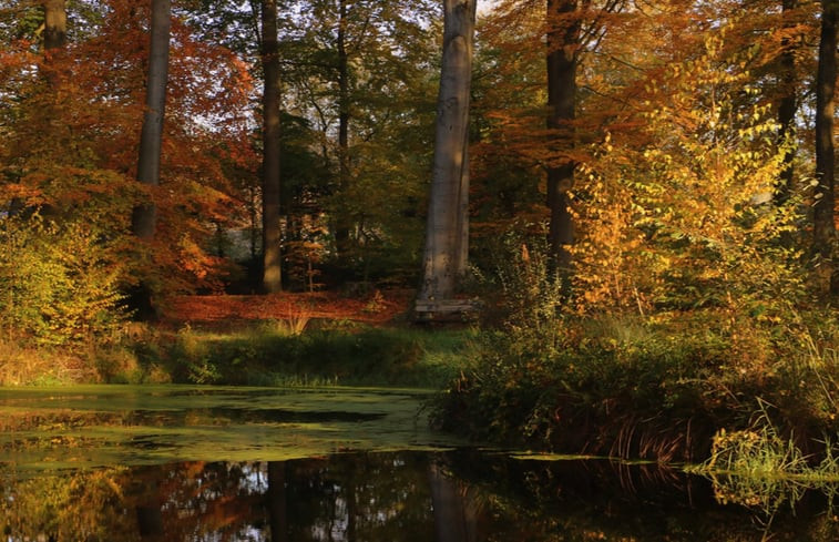 Natuurhuisje in Losser