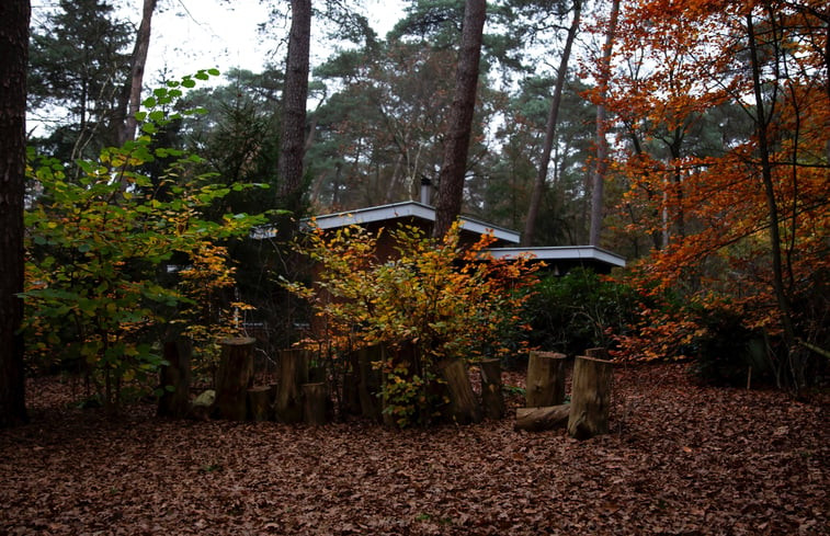 Natuurhuisje in Otterlo