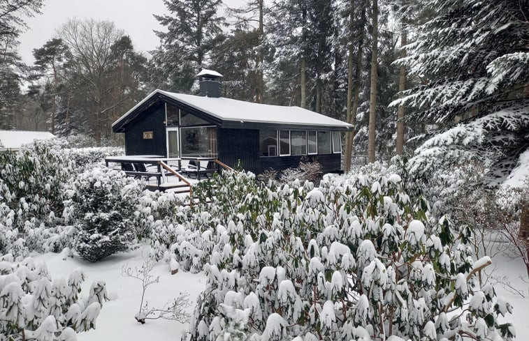 Natuurhuisje in Holten