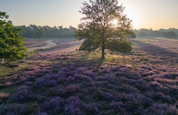 Natuurhuisje in Lierop