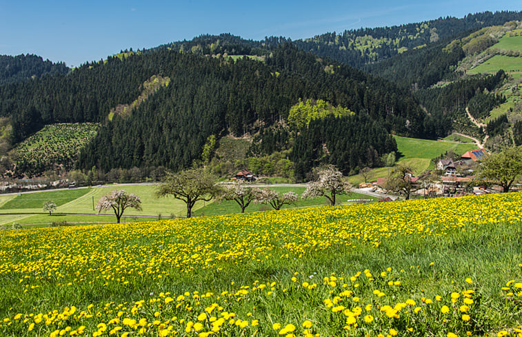 Natuurhuisje in Oberharmersbach