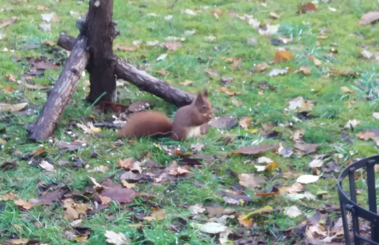 Natuurhuisje in Winterswijk