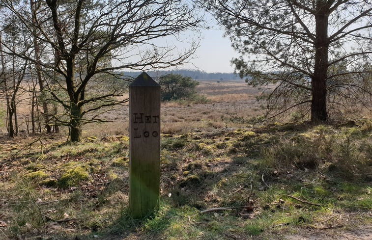 Natuurhuisje in Epe Veluwe