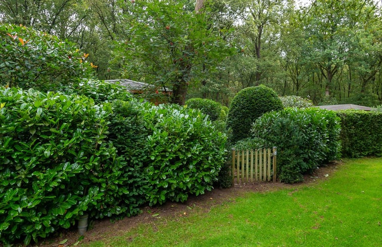 Natuurhuisje in Garderen