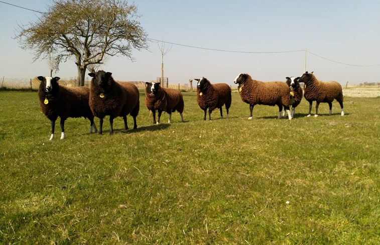 Natuurhuisje in Veurne