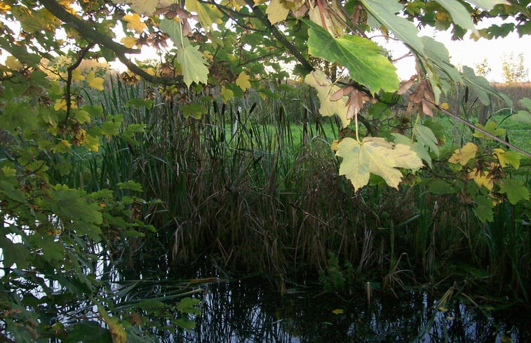 Natuurhuisje in Grou