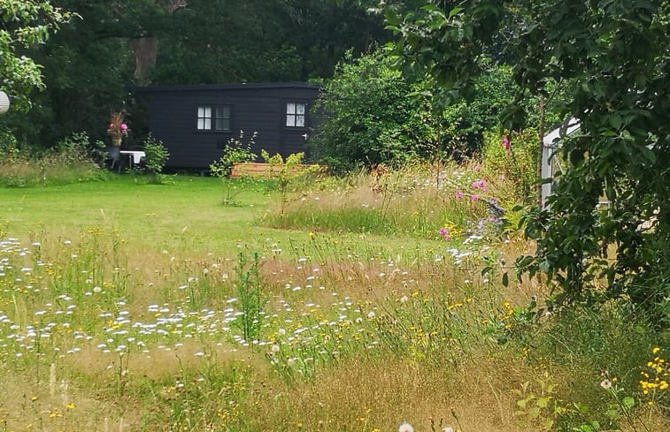 Natuurhuisje in Markelo