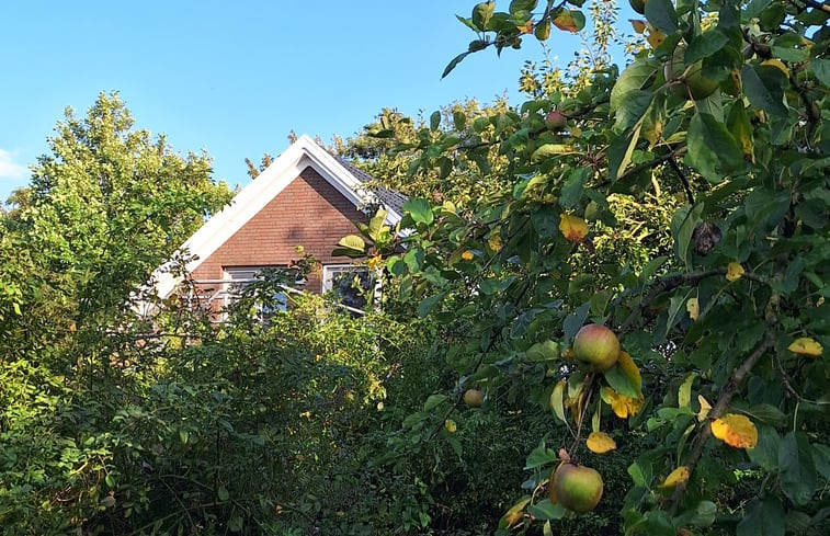 Natuurhuisje in Krummhörn