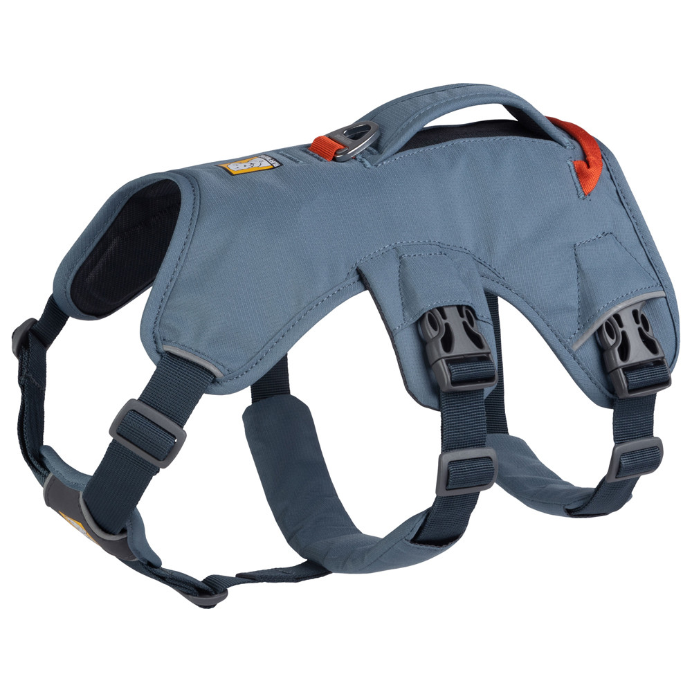 Ruffwear Hondentuig Web Master™ Harness, grijs, Maat: L/XL