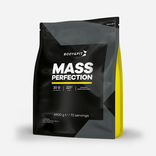 Mass Perfection Weight Gainer