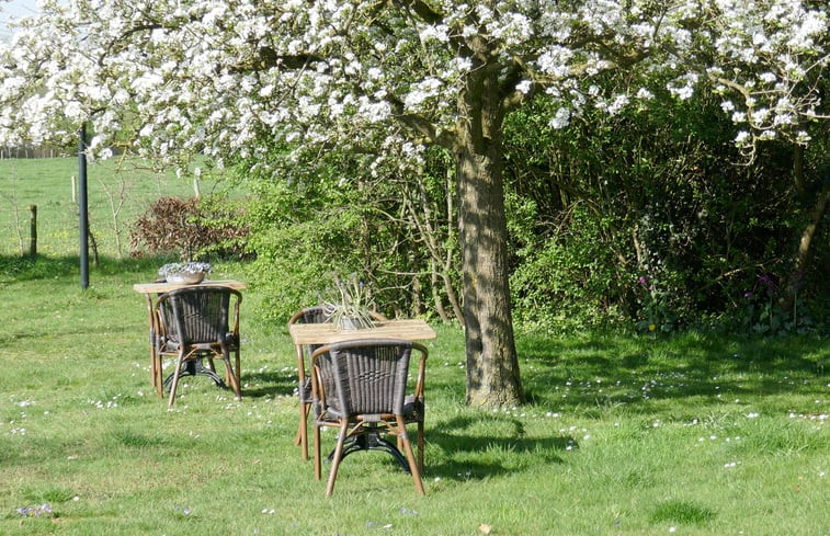 Natuurhuisje in Warnsveld