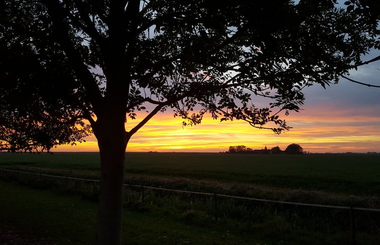 Natuurhuisje in Zuidland