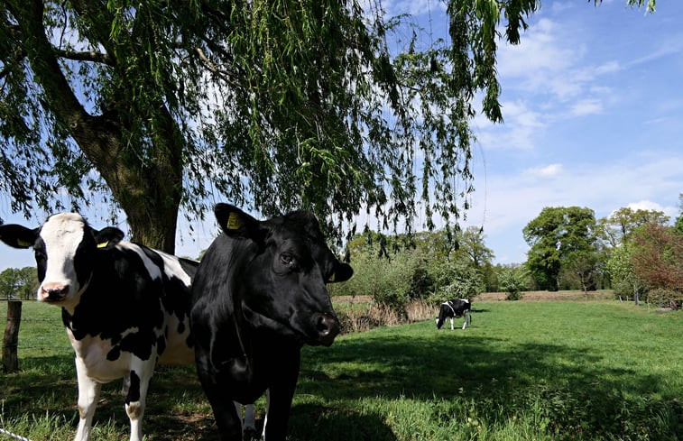 Natuurhuisje in Eibergen