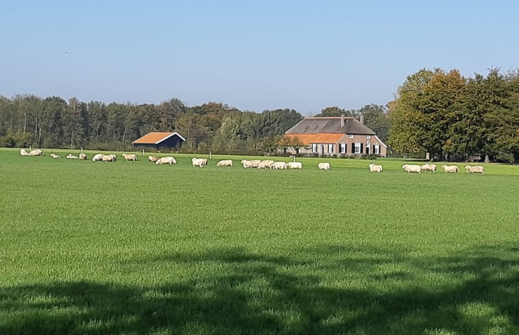 Natuurhuisje in Vorden Achterhoek