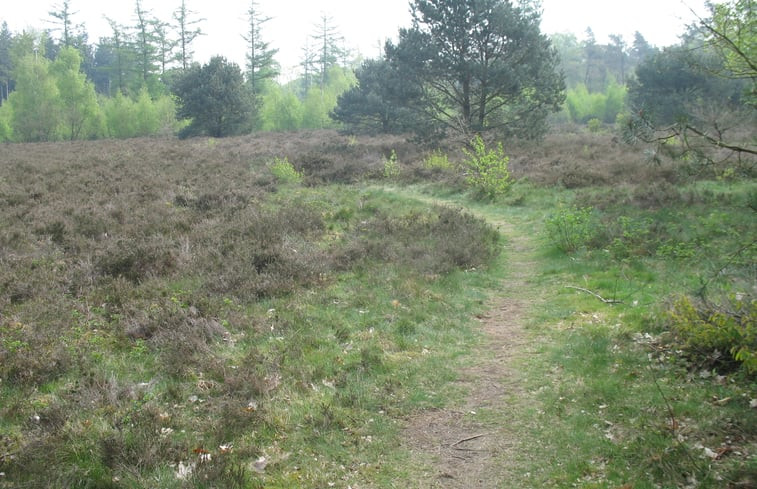 Natuurhuisje in Putten