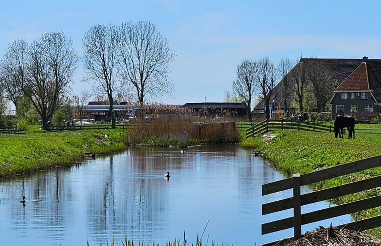 Natuurhuisje in Nijhuizum