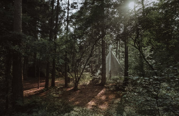 Natuurhuisje in Renkum