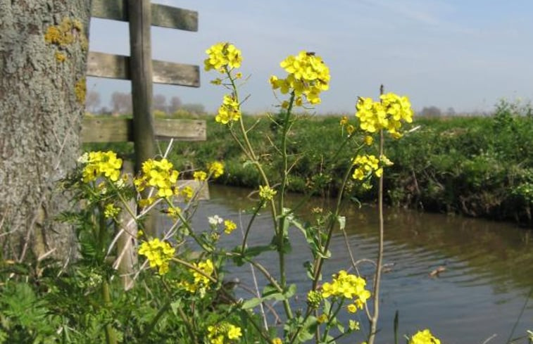 Natuurhuisje in Brandwijk