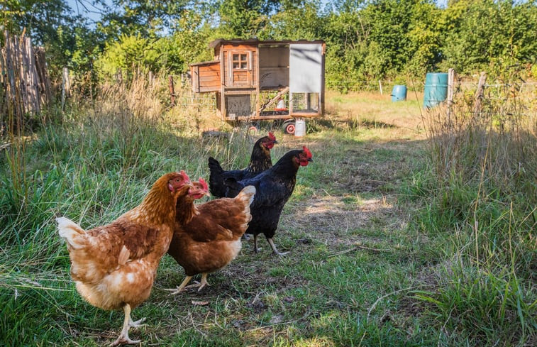 Natuurhuisje in Norg