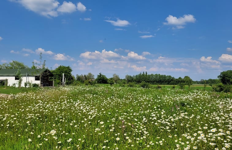 Natuurhuisje in Ruurlo