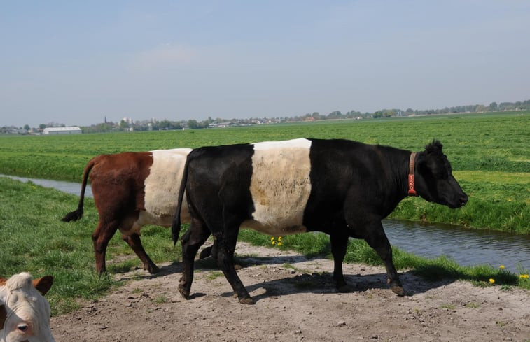 Natuurhuisje in Leimuiden