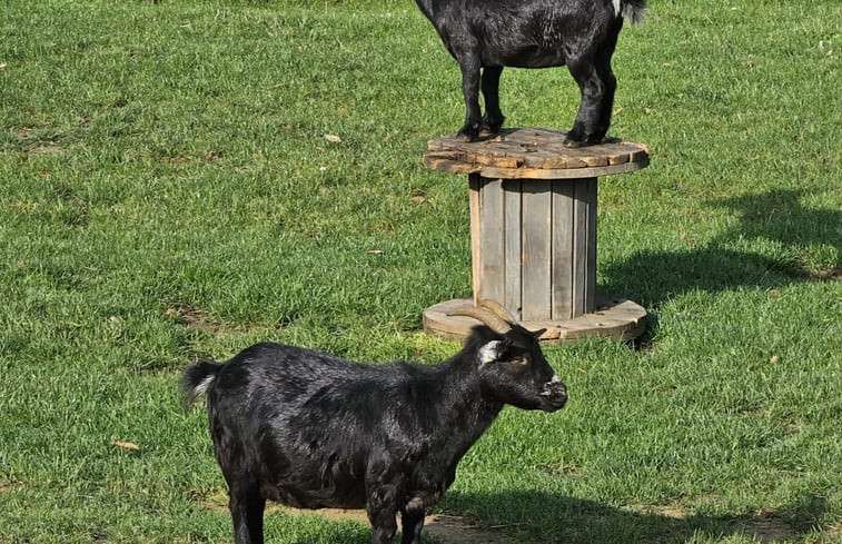 Natuurhuisje in Bekkevoort