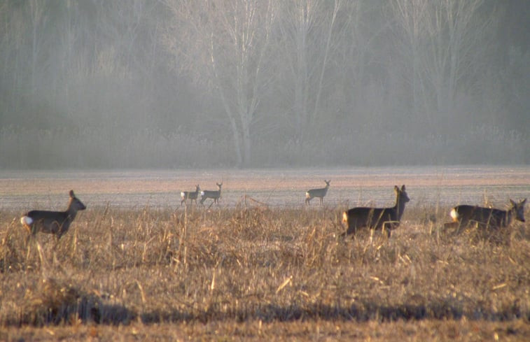 Natuurhuisje in Caorle