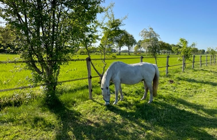 Natuurhuisje in Koekange