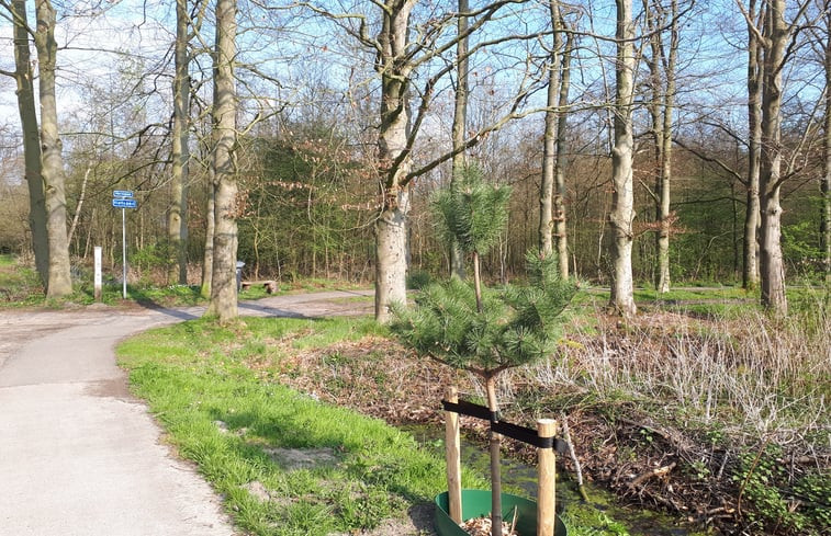 Natuurhuisje in Brummen