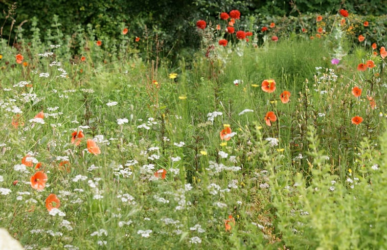 Natuurhuisje in Wilp