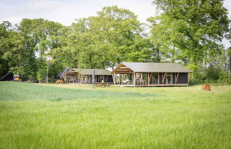 Natuurhuisje in Buurse