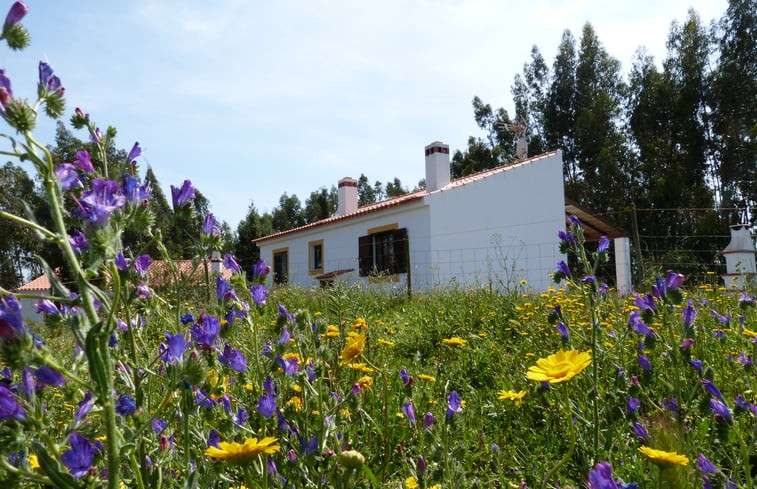 Natuurhuisje in Cercal do Alentejo