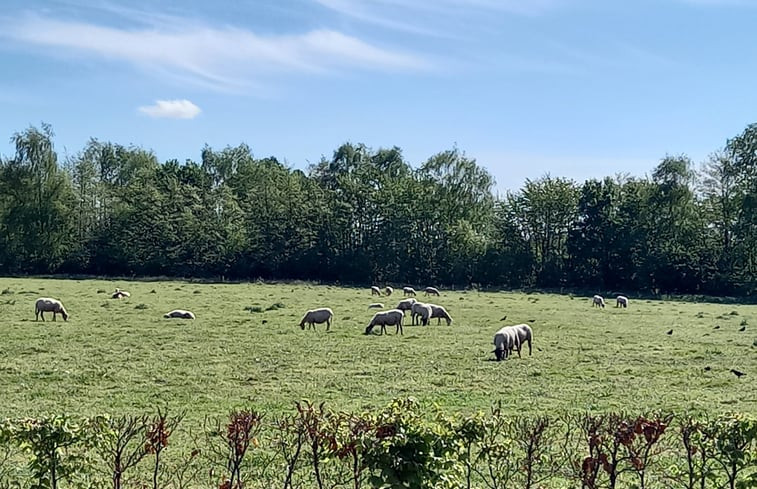 Natuurhuisje in Galder