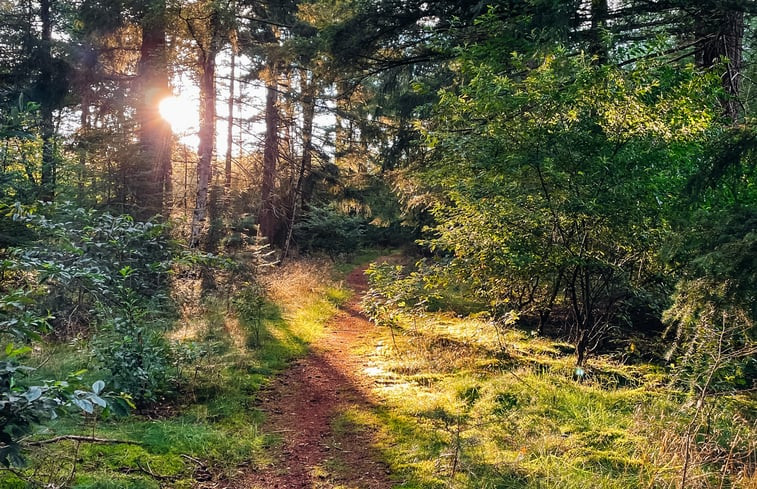 Natuurhuisje in Rhenen