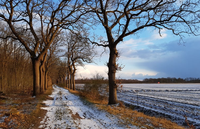 Natuurhuisje in Wateren