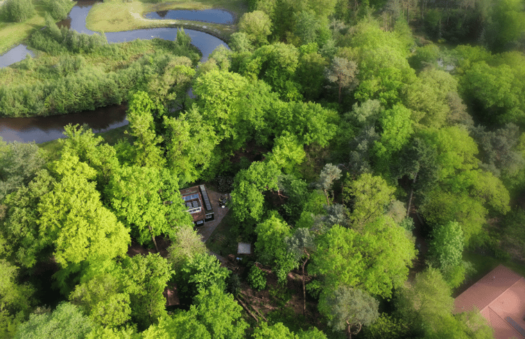 Natuurhuisje in Bornerbroek