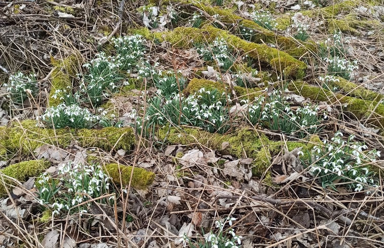 Natuurhuisje in St.Georgen