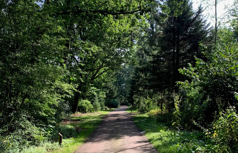 Natuurhuisje in Emst