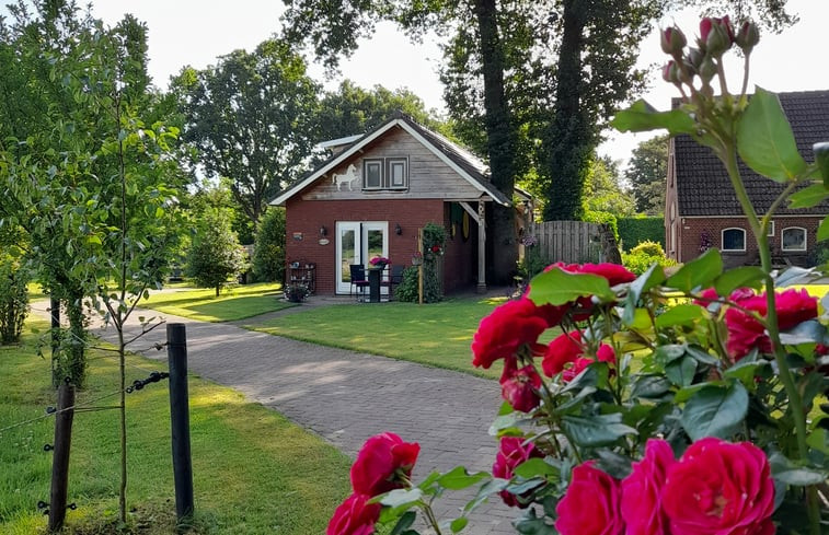 Natuurhuisje in Nijverdal