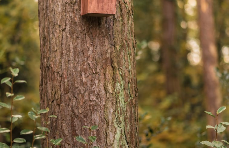 Natuurhuisje in Zoersel