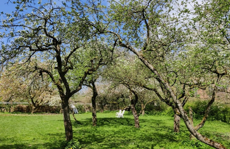 Natuurhuisje in Kekerdom