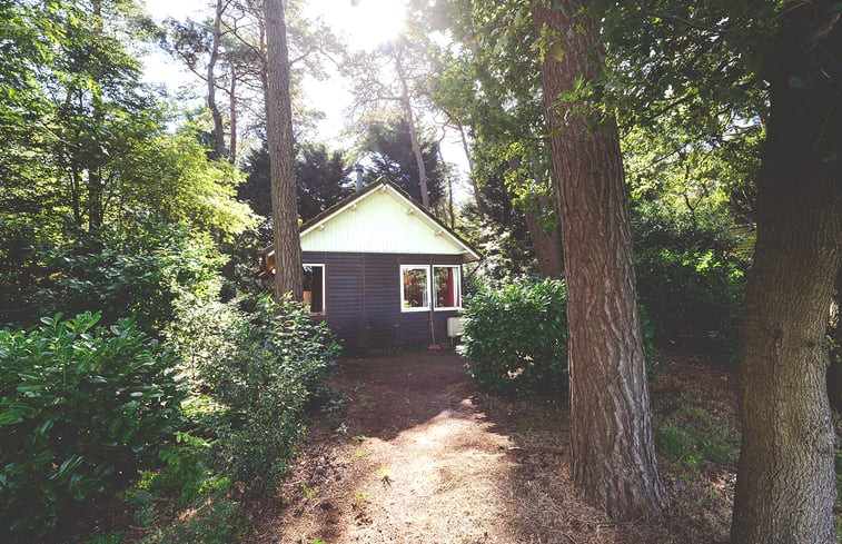 Natuurhuisje in Soest