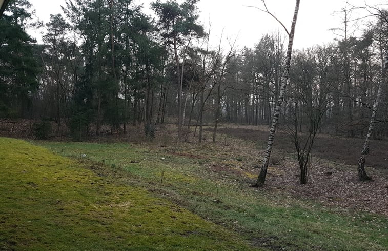 Natuurhuisje in Ommen