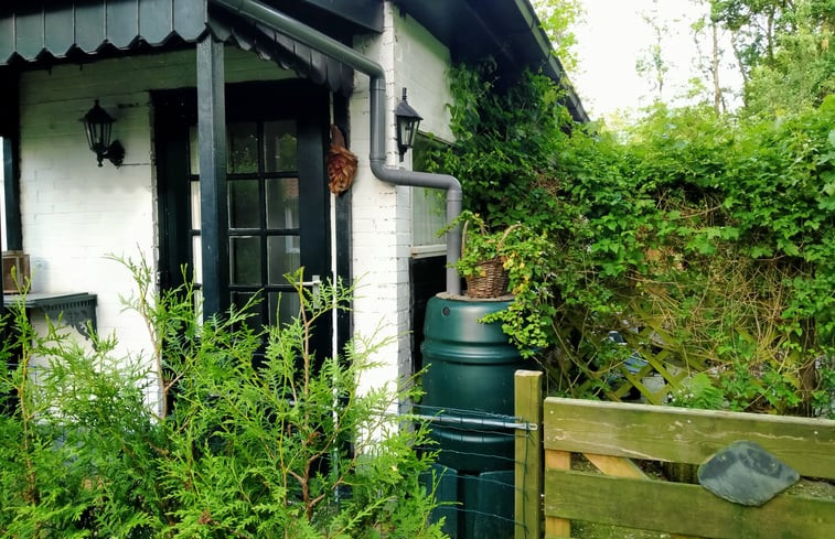 Natuurhuisje in Kollumerzwaag