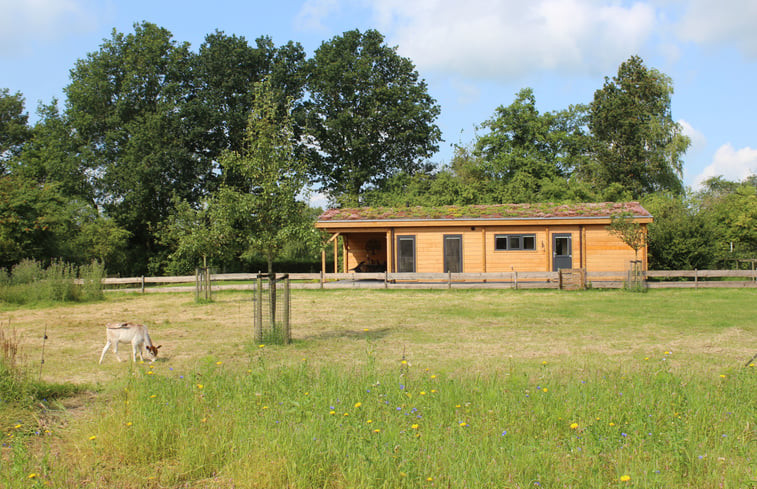 Natuurhuisje in Oldekerk